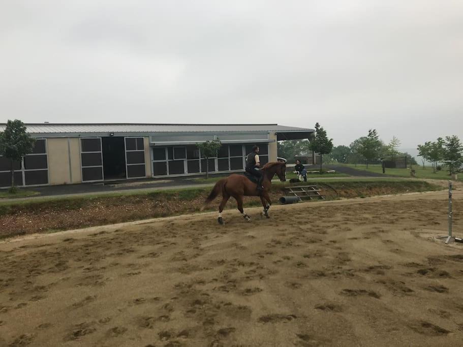 Logement Entier De Charme, Gite Equestre Gers Flamarens Dış mekan fotoğraf