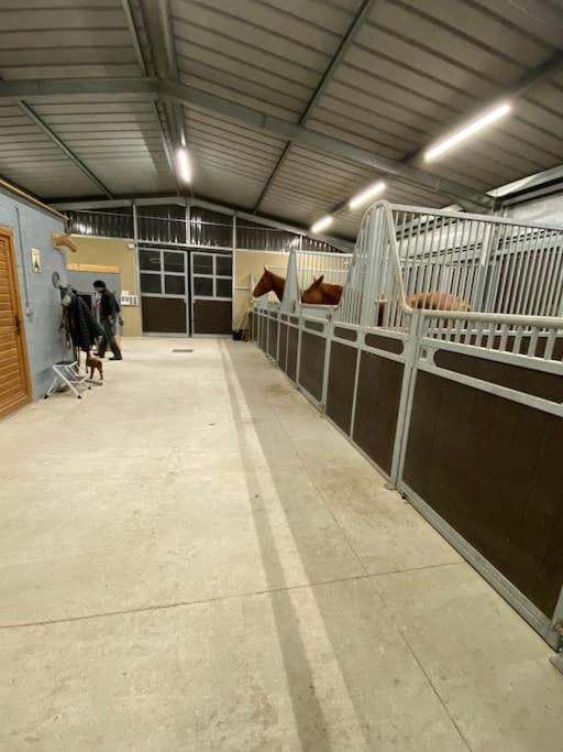 Logement Entier De Charme, Gite Equestre Gers Flamarens Dış mekan fotoğraf