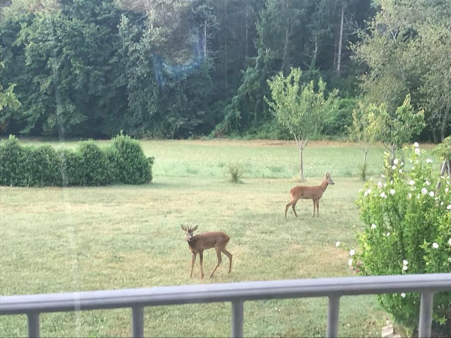 Logement Entier De Charme, Gite Equestre Gers Flamarens Dış mekan fotoğraf