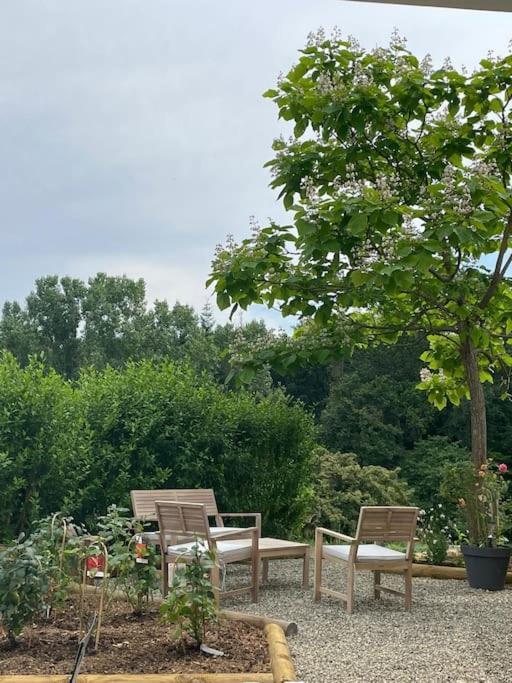 Logement Entier De Charme, Gite Equestre Gers Flamarens Dış mekan fotoğraf
